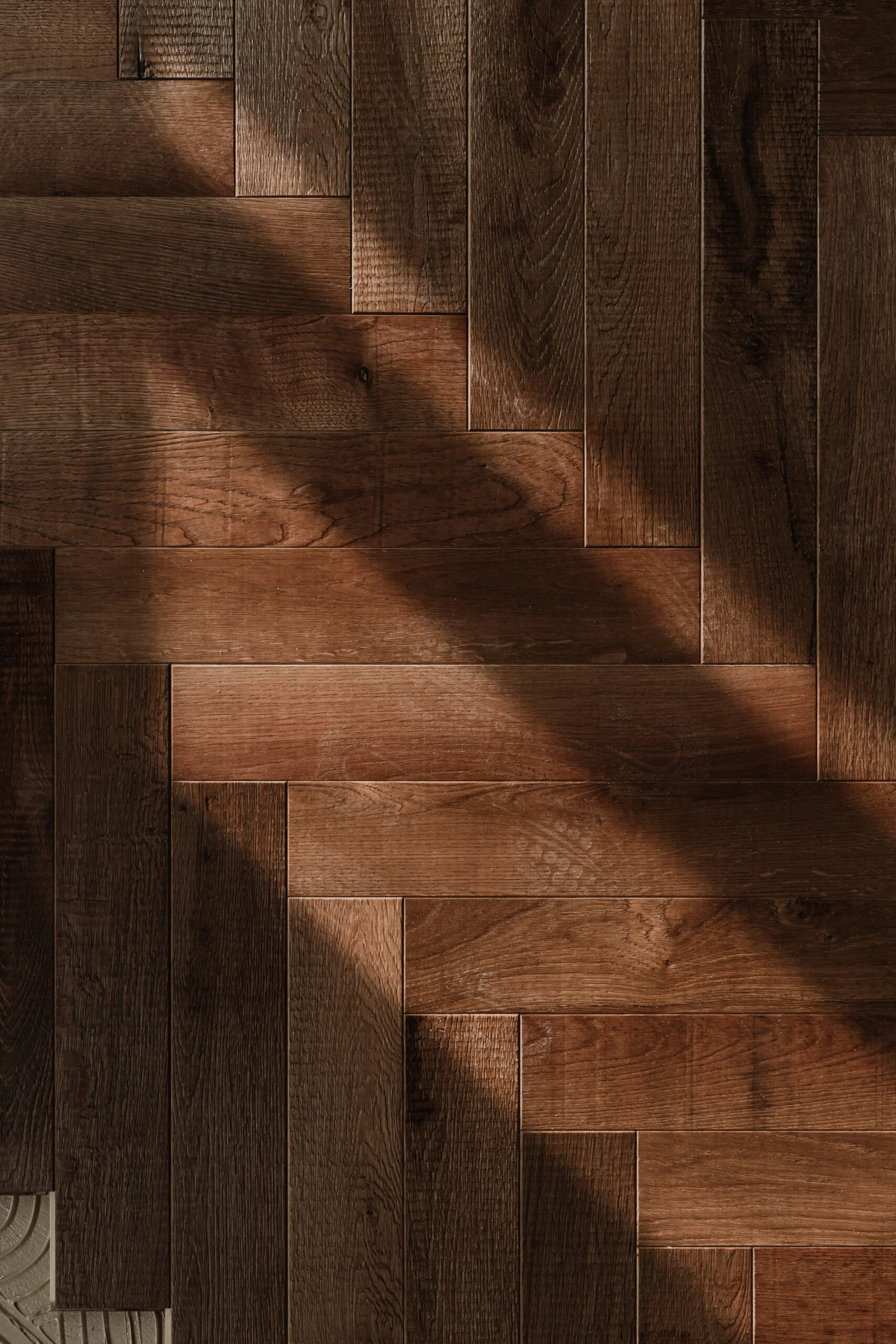 Coming soon / Salone Monga